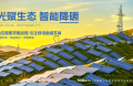 能环宝工商业分布式光伏运维业务范畴与三效一体运营结构