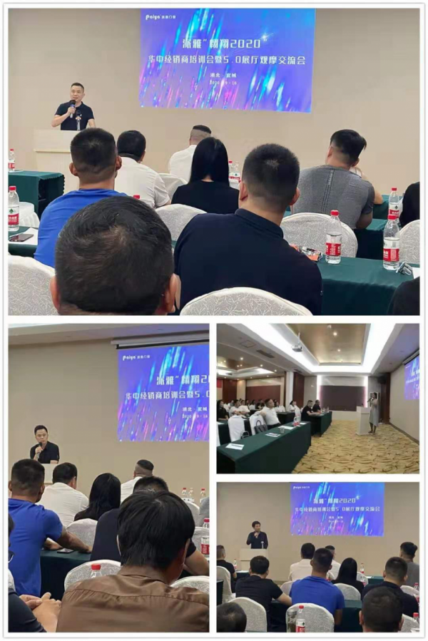 门窗十大品牌派雅门窗：奋斗的2020，一起翱翔！