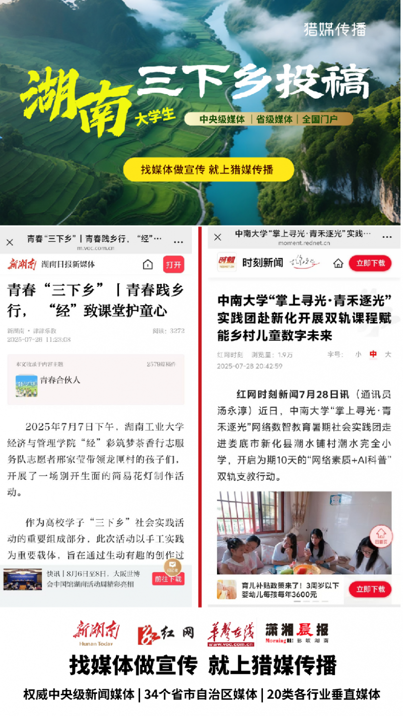 (小)湖南省高校大学生三下乡投稿案例.png