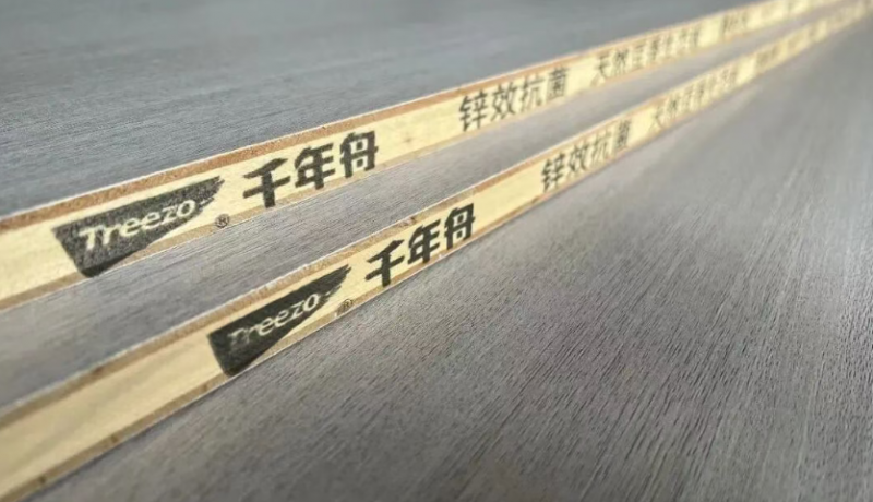 千年舟全新「防伪指南」来袭,教你快速辨真假