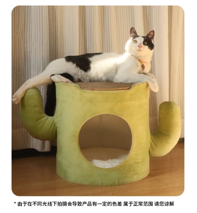 document_image_rId6_sm.jpeg