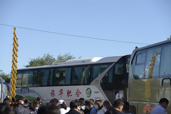 引爆全场，916第24届胜芳国际家具博览会火热进行中