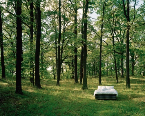 海丝腾百年绿色传承 织就地球生态底色