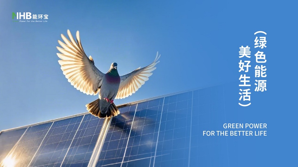 能环宝领航新能源技术革命：以创新之光点亮未来能源版图