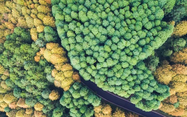 匠心之作丨澳思柏恩F-OSB原松全能澳松板大片芯材，以强韧性能筑就稳定内核