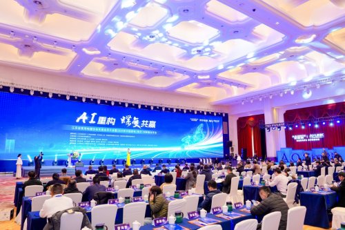 AI正在重新定义你家的风和水！2025江苏家电年会集体爆改智慧生活