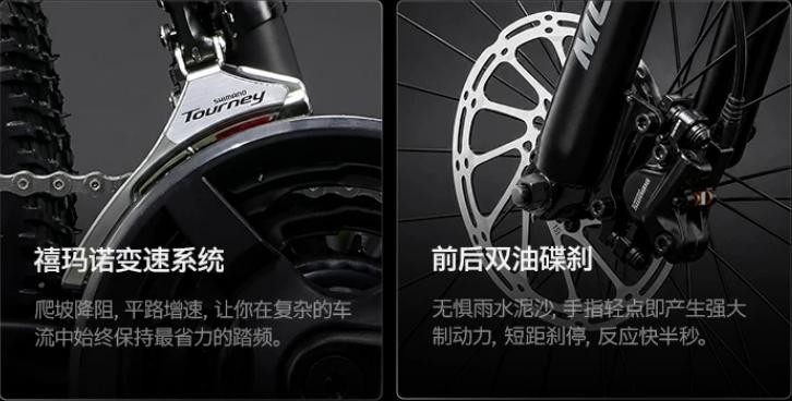 2026年十大自行车大人骑行专用品牌推荐，谁才是热销榜第一？